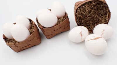 卵は一つのカゴに盛るな！投資の鉄則「分散」でリスク軽減