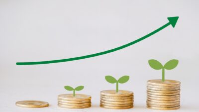 お金って勝手に増えるようになるの？ 初心者が学ぶ、複利の仕組